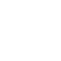 FC ICON